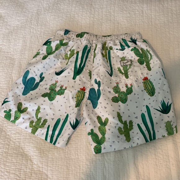 Franks Swim Trunks - Picture 3 of 3